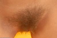 ATK hairy  in scary hairy