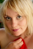 ATK hairy Teddy Snowflower in young and hairy