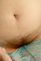 ATK hairy Teddy Snowflower in young and hairy