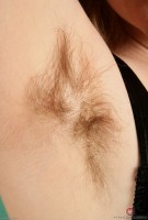 ATK hairy Teddy Snowflower in young and hairy