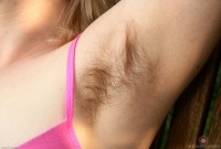 ATK hairy Teddy Snowflower in young and hairy