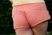 ATK hairy Teddy Snowflower in young and hairy