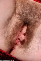 ATK hairy  in scary hairy