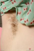 ATK hairy Tink Set