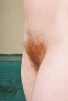 ATK hairy Tracy Set
