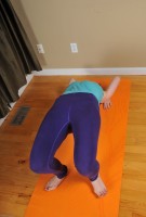 ATK hairy  in scary hairy