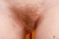 ATK hairy Trillium Set