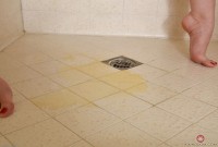 ATK hairy Trillium Set