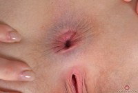 ATK hairy Trillium Set