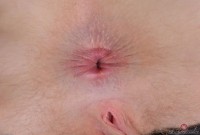 ATK hairy Trillium in young and hairy