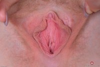 ATK hairy Trillium in young and hairy