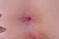 ATK hairy Trillium in young and hairy