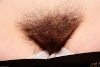 ATK hairy Urtica Set