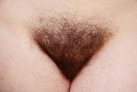 ATK hairy  in scary hairy