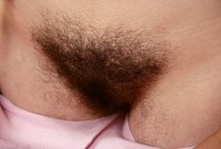 ATK hairy Urtica in scary hairy