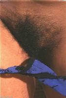 ATK hairy  in exotic and hairy