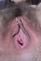 ATK hairy  in scary hairy