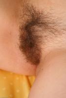 ATK hairy Veronica Set