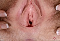 ATK hairy Dakota Rose Set