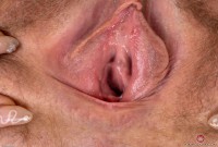 ATK hairy Dakota Rose Set