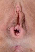 ATK hairy Verronica Kirei Set