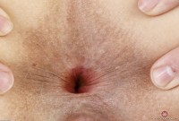 ATK hairy Verronica Kirei Set