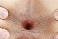 ATK hairy Verronica Kirei Set