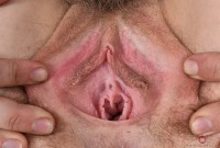 ATK hairy Rose Vermillion in young and hairy