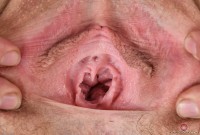 ATK hairy Rose Vermillion Set