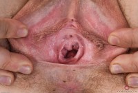 ATK hairy Rose Vermillion Set