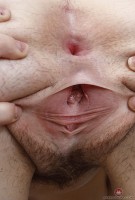 ATK hairy  in exotic and hairy