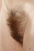 ATK hairy Veronica Valentine Set