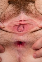 ATK hairy Veronica Valentine Set