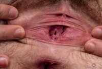 ATK hairy  in exotic and hairy