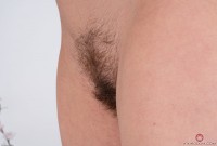 ATK hairy Veronica Valentine Set