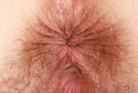 ATK hairy Veronica Rose Set