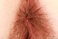 ATK hairy Veronica Rose Set