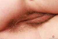 ATK hairy Veronica Rose Set