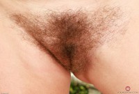 ATK hairy Veronica Rose Set