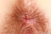 ATK hairy Veronica Rose Set