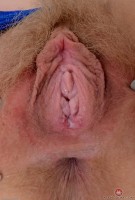 ATK hairy Vestacia JonQuil Set