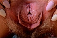 ATK hairy Vestacia JonQuil Set