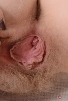 ATK hairy  in scary hairy