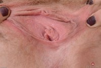 ATK hairy Vestacia JonQuil Set