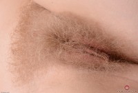 ATK hairy  in hairy fun