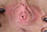 ATK hairy  in hairy fun