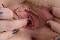 ATK hairy Vestacia JonQuil Set