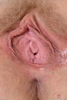 ATK hairy Vestacia JonQuil Set