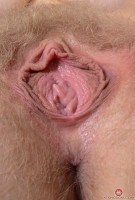 ATK hairy Vestacia JonQuil Set