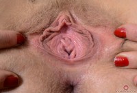 ATK hairy Vestacia JonQuil Set